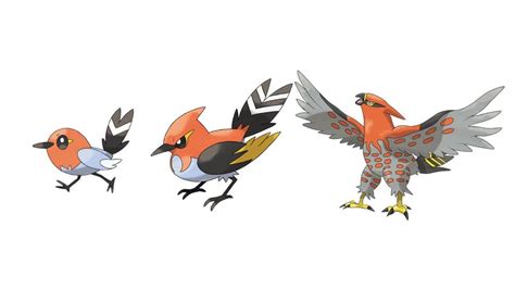 talonflame pre evolution|talonflame shiny.